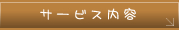 サービス内容